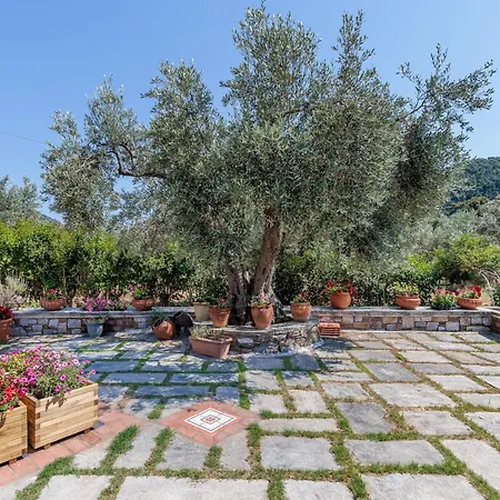 Aretousa & Appartamento Città di Skopelos